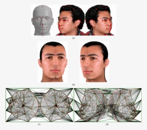 A Hairless Head Model With The Texture Image - Male #1601263