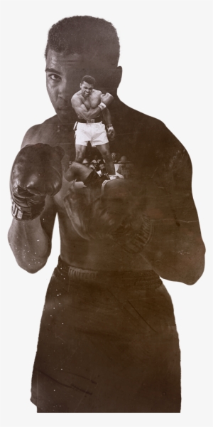 Ebook The Telegraph Book Of Champions #1601421