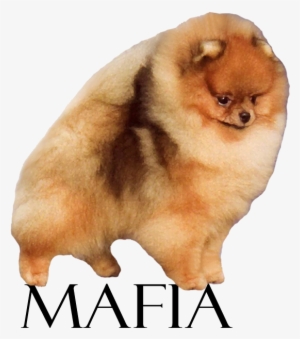 Bronze Gch Lynnwrights Mob Boss - Isbn #1602968 Bronze Gch Lynnwrights Mob Boss - Isbn #1602968