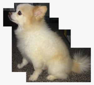 Xoklgxt - Portable Network Graphics #1603065