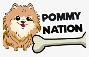Pomeranian, Puppy - Pomeranian #1603095