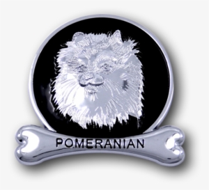 Pomeranian #1603341
