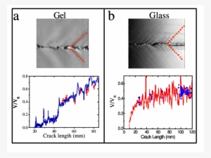 Photographs Of Fracture Surfaces In Both (a) Gels (type - High Temperature Lubrication #1604271