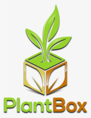 Buy Exotic And Rare Tropical Plants Online - Gano E Worldwide #1604814