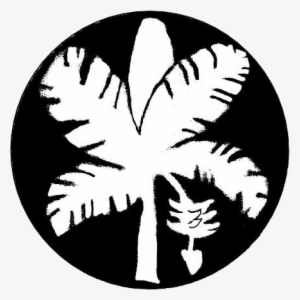 Tropical Plants - Hawaiian Alphabet #1604910