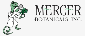 Mercer Botanicals - Feinschmecker Bookazinenr.18 Dieter Müllers Kochschule #1604977 Mercer Botanicals - Feinschmecker Bookazinenr.18 Dieter Müllers Kochschule #1604977