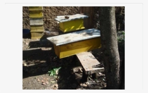 Types And Placement Of Beehive - Beehive #1606024