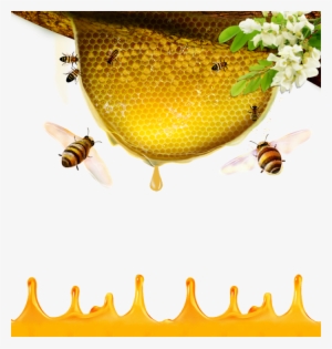 Bees Transparent Honey Australian - Honey Bee #1606104
