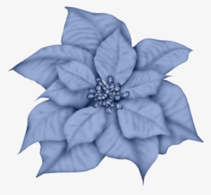 Christmas Blue Poinsettia Clip Art - Blue Poinsettia Clipart #1606222