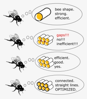 Why Beehives Are Hexagons - Bee Shape Strong Efficient #1606296