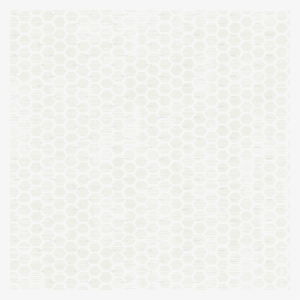 Ivory #1606573 Ivory #1606573