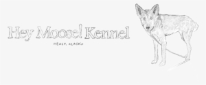 Cat-header #1607392