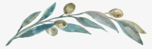 Olivebranch - Blog #1608163