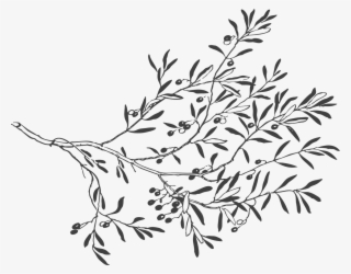 How To Set Use Grey Olive Branch Clipart #1608224