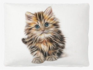 Cute Kitten Pet Bed #1608431