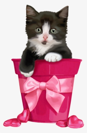 Gatti Tubes Per Grafica In Png - Шки Png #1608779