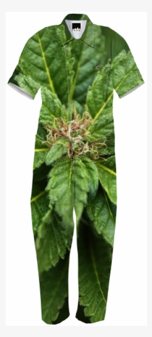 Weed Jumpsuit $180 - Day Dress #1609058