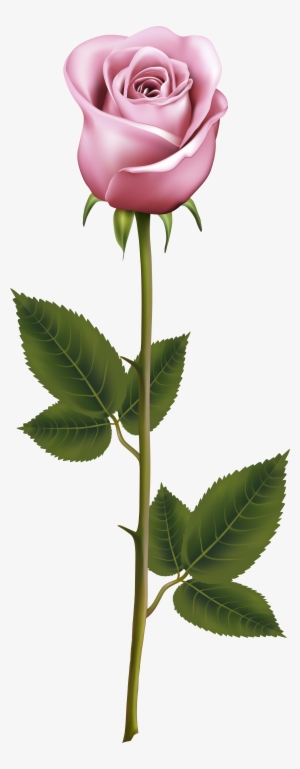 Watercolor Winter Flowers, Flowers Clipart, Winter - Rose With Stem Png #1609604