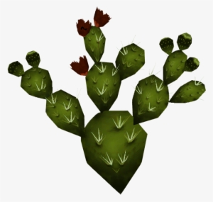 Nopal - Imagenes De Nopales Png #1609956