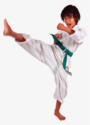 Karate By Kari Schuetz 9781600145704 (hardback) #1610441