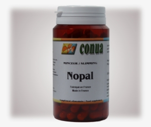Buy Nopal - Digestion Fennel Rosemary Artichoke Black Radish 120 #1610546