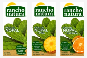 Jugos - Nopal Juice #1610899
