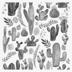 Eastern Prickly Pear #1611085