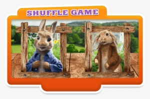 Peter Rabbit Movie Supports Responsible Pet Adoption - Television #1611316