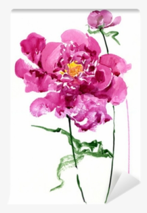 Peony #1611763 Peony #1611763