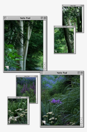 Image, Video And Soundtrack Of A Plant O Production - Transparent Tumblr Aesthetic Plant Png #1612188