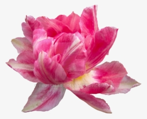 Artificial Flower #1612246