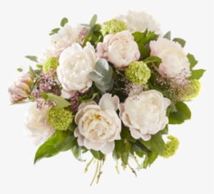 Peony - Interflora #1612657 Peony - Interflora #1612657