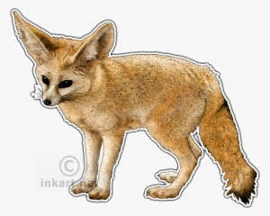 Desert Fox Png - Fennec Fox Throw Blanket #1612658