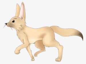 Fennec Fox #1612841