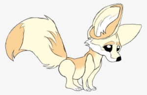 Fennec Fox #1612987