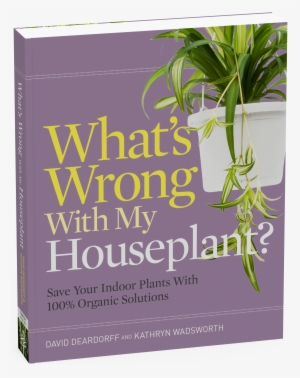 What's Wrong With My Houseplant #1612988 What's Wrong With My Houseplant #1612988