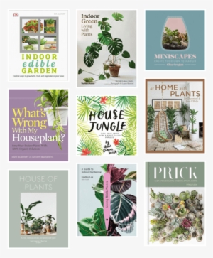 Prick - Cacti And Succulents: Choosing, Styling, Caring #1613120