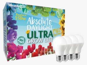 Miracle Led Commercial Hydroponic Ultra Grow Lite - Philips Led A Shape Lamp 8w Es 600lm A+ #1613140