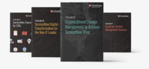 Order Your Free Books Today - Chief Information Officer #1613499