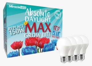 Miracle Led Commercial Hydroponic Max Red & Blue Led - 6w Led Bulb Lighting E27 220v 240v White Light #1613829