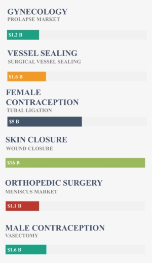 Our Initial Target Markets - Holy Spirit #1613884