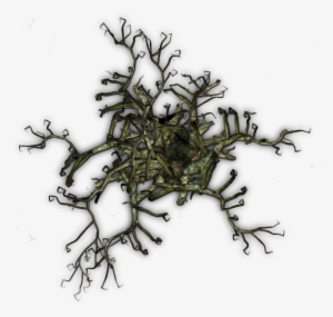 Dead Tree Roll 20 #1615330