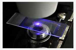 Blue Light Of A Laser Beam Cutting A Specific Region, - Cell #1615544