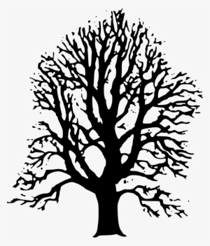 Black Trees Cliparts - Linden Tree Black And White #1615784