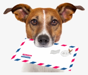 Contact Info For Thunder Ridge Kennels In Billings, - Framed Art Print: Brosch's Dog In Love, 42x42cm. #1615921