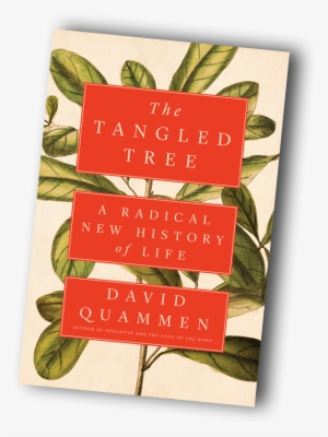 From Early Reviews Of The Tangled Tree - Tangled Tree #1617030