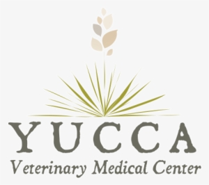"creating A Personalized Experience For You And Your - Yucca Veterinary Medical Center, Llc #1618098