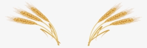 Wheat Ear Royalty - Wheat Png #1618476 Wheat Ear Royalty - Wheat Png #1618476