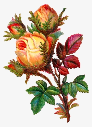 Stock Yellow Rose Digital Flower Clip Art Vector Black - Flower #1618516