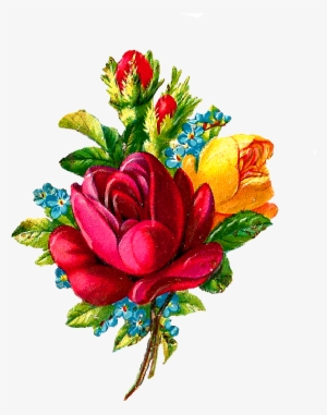 Digital Red Rose Clip Art Flower Download Botanical - Antique #1618540